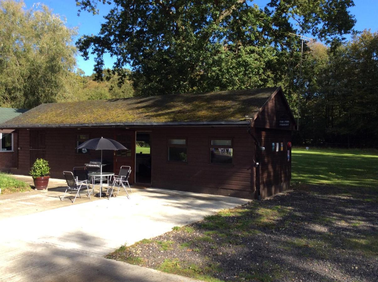 The Firs Villa Ashford  Eksteriør billede